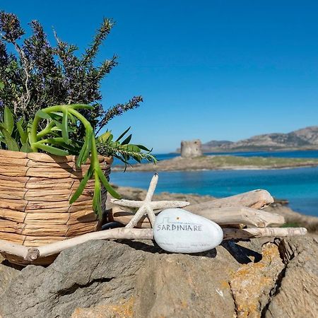 Sardinia Re - Villa Pelosa Stintino Eksteriør bilde