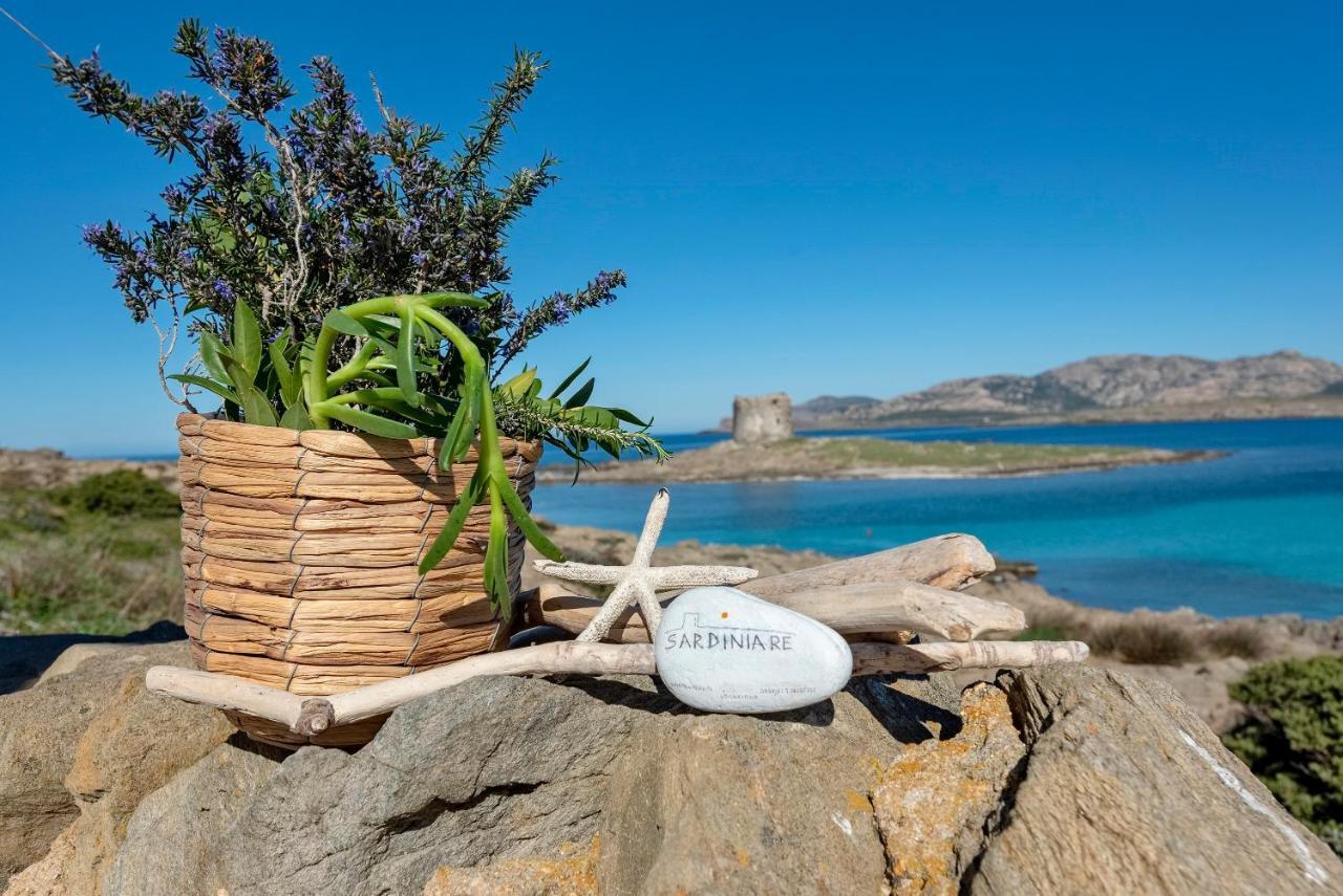 Sardinia Re - Villa Pelosa Stintino Eksteriør bilde