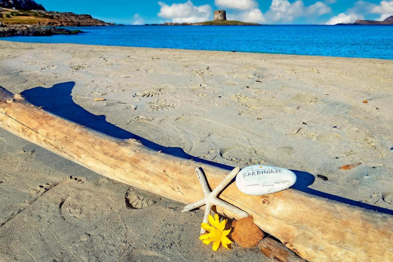 Sardinia Re - Villa Pelosa Stintino Eksteriør bilde