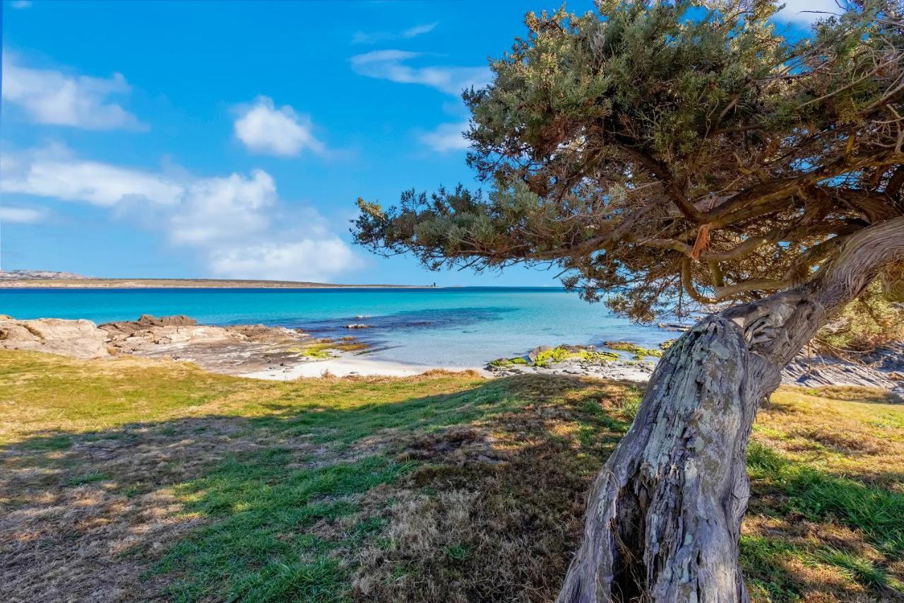 Sardinia Re - Villa Pelosa Stintino Eksteriør bilde