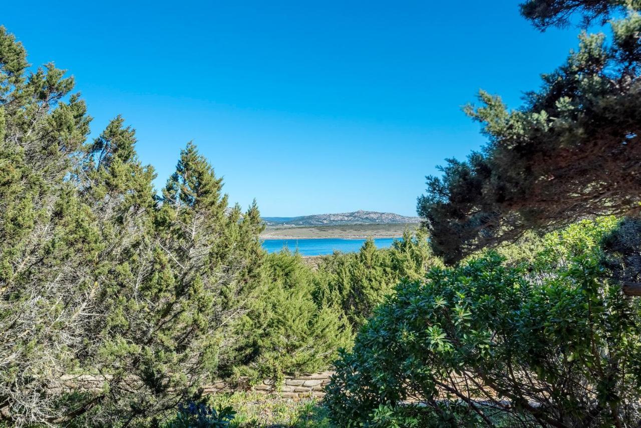 Sardinia Re - Villa Pelosa Stintino Eksteriør bilde